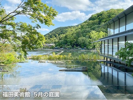 スクリーンショット 2024-05-31 093005