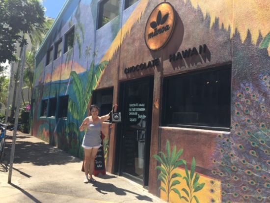 貸切チャーター　高級車ブランド「リンカーン」でご案内！組み合わせ自由なオーダーメイドプラン＜1～6名／4～8時間／日本語ガイド／空港送迎可＞