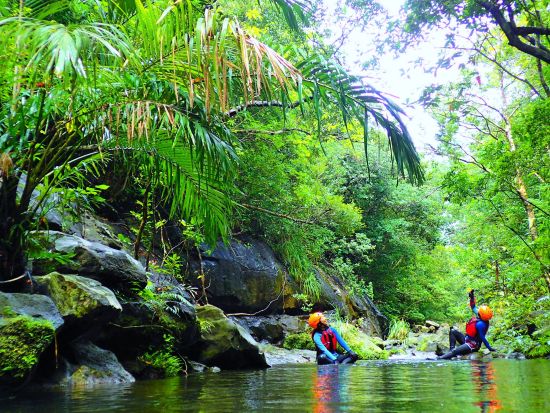 【ベストプライス】西表島マングローブキャニオニングツアー　マイナスイオンたっぷりの亜熱帯の森で川遊びを満喫！＜5～10月／指定ホテル送迎選択可／石垣島発＞