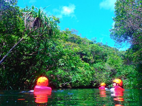 【ベストプライス】西表島マングローブキャニオニングツアー　マイナスイオンたっぷりの亜熱帯の森で川遊びを満喫！＜5～10月／指定ホテル送迎選択可／石垣島発＞