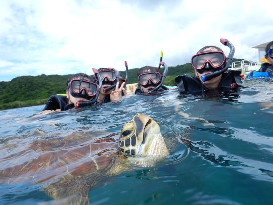 青の洞窟＆ウミガメシュノーケル 石垣島の美しい海を満喫 高確率でウミガメに出会える 器材レンタル無料＜送迎あり／石垣島＞