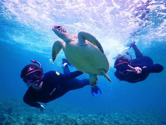 青の洞窟＆ウミガメシュノーケル 石垣島の美しい海を満喫 高確率でウミガメに出会える 器材レンタル無料＜送迎あり／石垣島＞