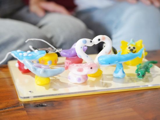 宮古アニマルキャンドル作り 雨の日にもオススメ！室内で楽しめる新体験を＜／約2時間／伊良部島＞