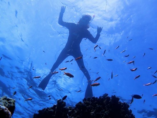 大満足シュノーケリングツアー！世界有数のスポットで泳ごう♪水中カメラレンタル有＜約6時間半／送迎あり／石垣島＞