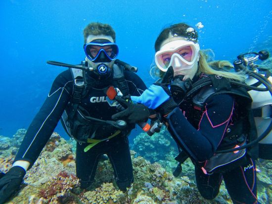 大満足体験ダイビングツアー 石垣島で海中世界を探検しよう！初心者大歓迎◎水中カメラレンタル有＜約6時間半／送迎あり＞