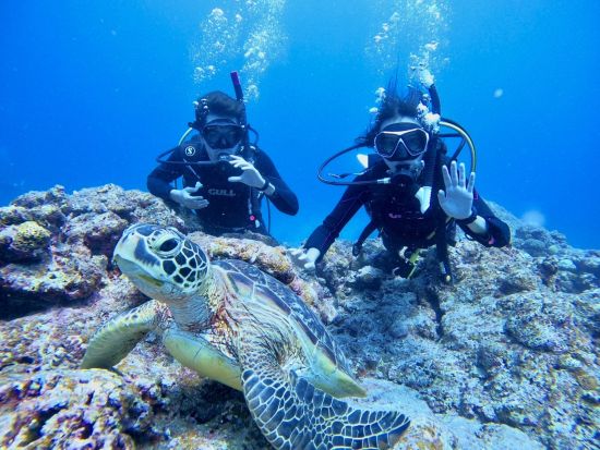大満足体験ダイビングツアー 石垣島で海中世界を探検しよう！初心者大歓迎◎水中カメラレンタル有＜約6時間半／送迎あり＞