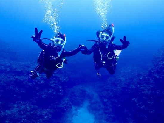 ファンダイビング Cカード保持者対象 美しい八重山の海を味わいつくそう！＜約6時間半／送迎あり／石垣島＞