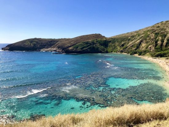 ハナウマ湾体験ダイビング　日本語インストラクターが丁寧にご案内！気兼ねなく楽しめるプライベートプラン＜ビーチ／1ダイブ＞by ハワイココスタイル