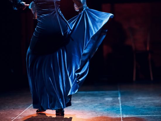 フラメンコショー　タブラオ「ラ・キメラ (La Quimera)」 ＜タパスメニューのディナー＋2ドリンク付き／マドリード＞