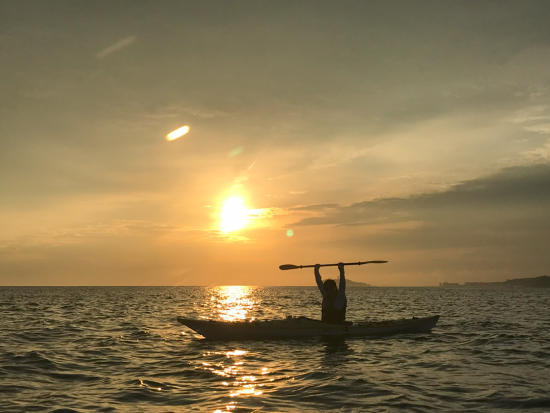 【愛犬連れOK】1日1組限定！シーカヤック体験ツアー 大型犬も歓迎！穏やかな海なのでカヌー初心者も安心＜初心者大歓迎／写真データプレゼント／貸切／半日／逗子＞