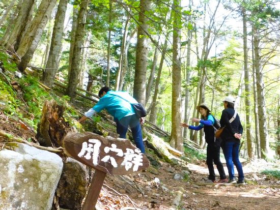洞爺湖中島トレッキングプライベートツアー　ボートで洞爺湖に浮かぶ中島へ移動し散策路を歩く！＜5～10月／洞爺湖 鶴雅リゾート洸の謌集合＞