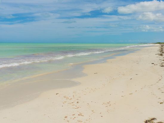 AdobeStock_384769111