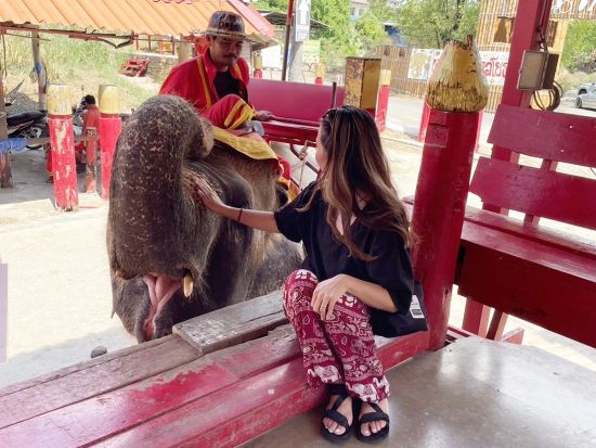 アユタヤ遺跡＋水上マーケット＋メークロン線路市場観光ツアー 象乗り選択可！ソンブーンのカニカレー付きプラン有＜昼食／バンコク市内送迎対応／ベテランガイド選択可＞