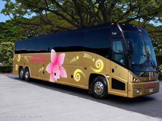 オアフ島1日観光　ノースショア（ハレイワ）＆東海岸　ドールプランテーション＋平等院＋ハロナ潮吹き穴　英語ガイドの案内でアメリカンなハワイを体験！