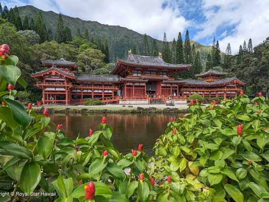 オアフ島1日観光　ノースショア（ハレイワ）＆東海岸　ドールプランテーション＋平等院＋ハロナ潮吹き穴　英語ガイドの案内でアメリカンなハワイを体験！