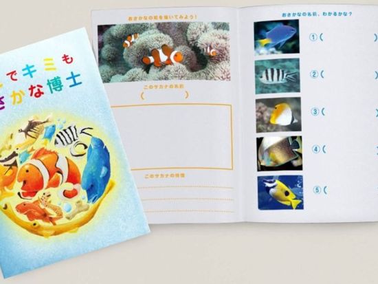 シュノーケルツアー 3歳から参加OK！ファミリーで恩納ブルーを満喫 お魚博士BOOKプレゼント＜約2時間30分／グリーン・フィンズ認定店／恩納村＞