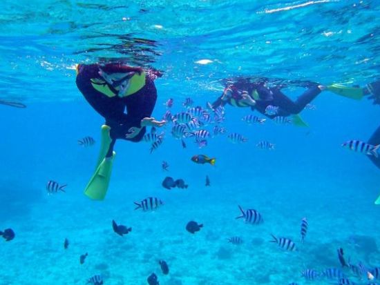 熱帯魚の楽園シュノーケリング グリーンフィンズ認定店で環境に優しくシュノーケリング！ 学割プランあり ＜ボート／ショップ設備利用可／約2時間半／恩納村発＞