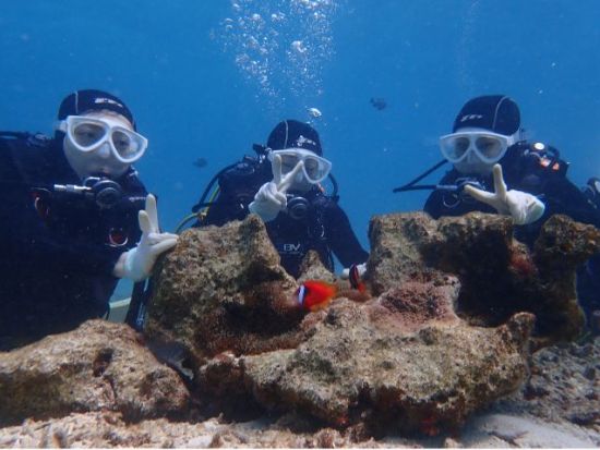 体験ダイビング 熱帯魚の楽園を満喫 グリーンフィンズ認定店で環境に優しいダイビング！ 学割プランあり ＜ボート／ショップ設備利用可／約2時間半／恩納村発＞