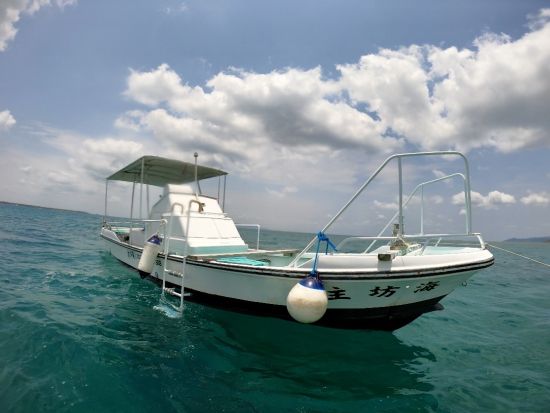 【貸切】石垣島で魚突き体験！島んちゅ船長が丁寧にレクチャー ファミリーで参加出来る貸切シュノーケリングツアー ＜午前or午後／新川漁港＞