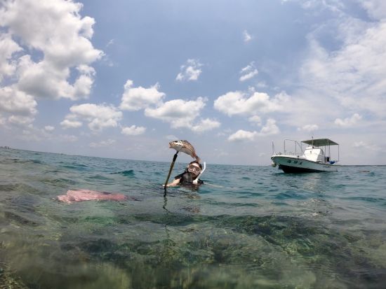 【貸切】石垣島で魚突き体験！島んちゅ船長が丁寧にレクチャー ファミリーで参加出来る貸切シュノーケリングツアー ＜午前or午後／新川漁港＞