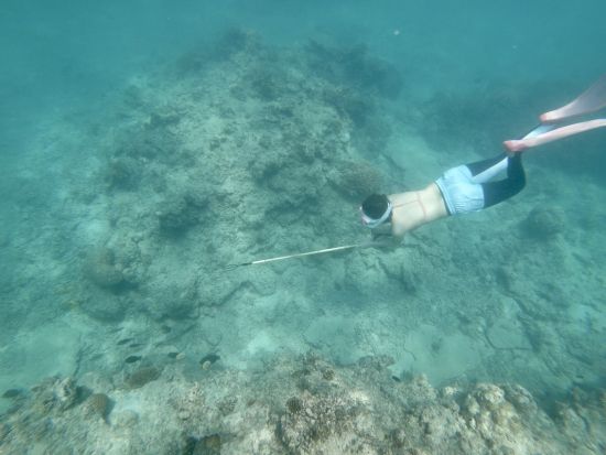 【貸切】石垣島で魚突き体験！島んちゅ船長が丁寧にレクチャー ファミリーで参加出来る貸切シュノーケリングツアー ＜午前or午後／新川漁港＞