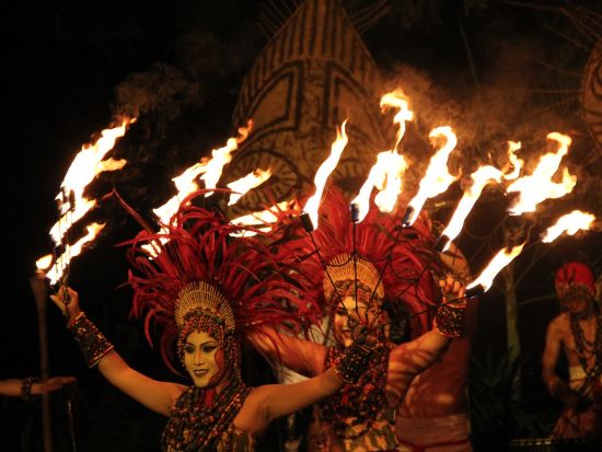 バリサファリ＆マリンパーク　ナイトツアー ＜ビュッフェディナー付き／日本語ガイド＞by JTB