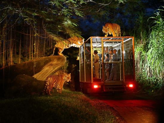 バリサファリ＆マリンパーク　ナイトツアー ＜ビュッフェディナー付き／日本語ガイド＞by JTB