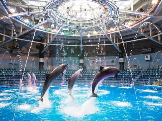 マクセル アクアパーク品川入場券 ～都市型水族館での先端エンターテインメント体験～＜品川駅から徒歩約2分＞