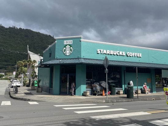 ハワイ　島内観光＋カジュアルフォトツアー　プロのカメラマンによる撮影付きプラン＜3～8時間／2～10名／日本語／貸切チャーター＞