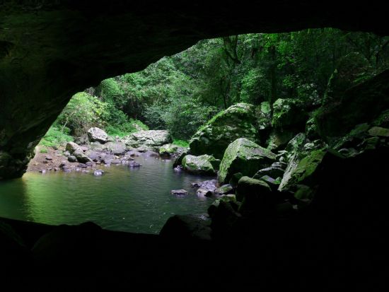 ゴールドコースト1日ツアー　クーンババ湖保護公園＋世界遺産スプリングブルック国立公園＋ザ・スピット＋サーファーズパラダイス＜昼食付／英語ガイド／ブリズベン発＞