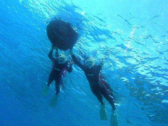 ボートシュノーケリング 神秘的な海の世界へ 器材レンタル代込＜半日（午前または午後）／名瀬・龍郷町方面送迎可＞by 奄美大島ダイビングエンドレスブルー