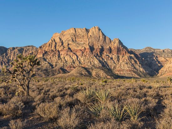 USA_Las Vegas_Red Rock Canyon State Park_123RF_65016728_ML