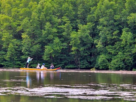 カンザー観光ツアー　神秘のマングローブ林で大自然＆ワニ釣りを楽しむ  貸切プランあり＜昼食付き／日本語ガイド／ホーチミン発着＞