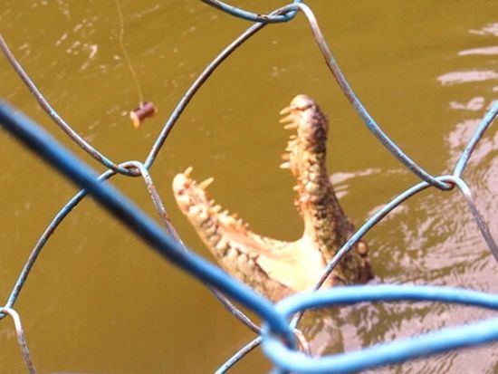 0421174540_5adafa341f372