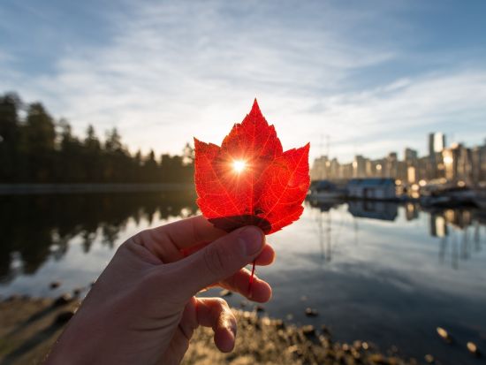 eSIMサービス カナダ国内対応＜1～10GB／最大30日間／日本語対応／データ通信専用＞