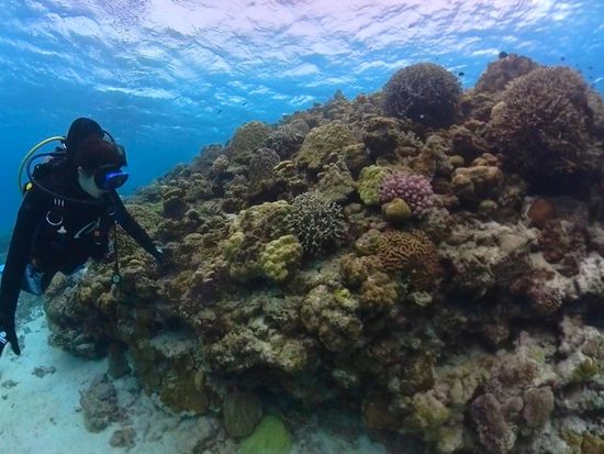 体験ダイビング (7)