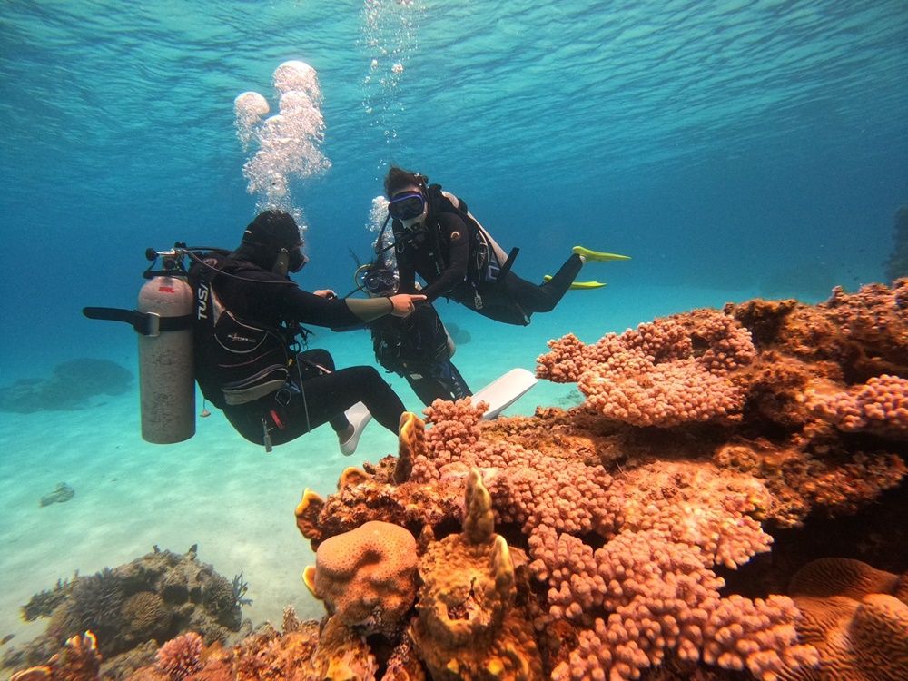 ダイビング 渡嘉敷島 体験ボートダイビング 透明度抜群の海でダイビングを楽しもう