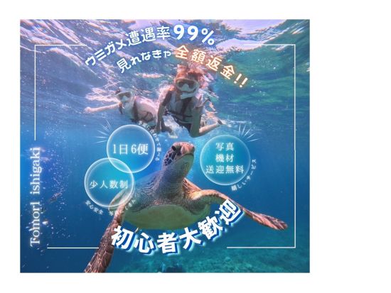 ウミガメシュノーケリング 高確率でウミガメと出会える！ウミガメ見れなきゃ全額返金！ビーチエントリーで船酔いの心配なし＜市街地ホテル送迎可／石垣島＞