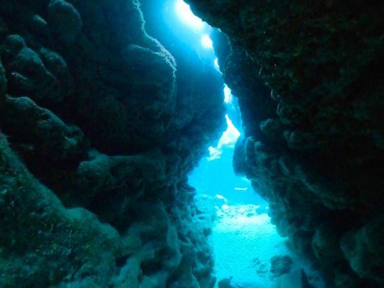 ファンダイビング (2)