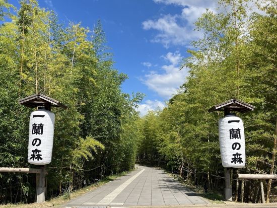 福岡発日帰りバスツアー　白糸の滝＋一蘭の森＋櫻井二見ヶ浦 夫婦岩など 糸島の人気スポットへご案内 ＜博多発着／日本語・中国語＞
