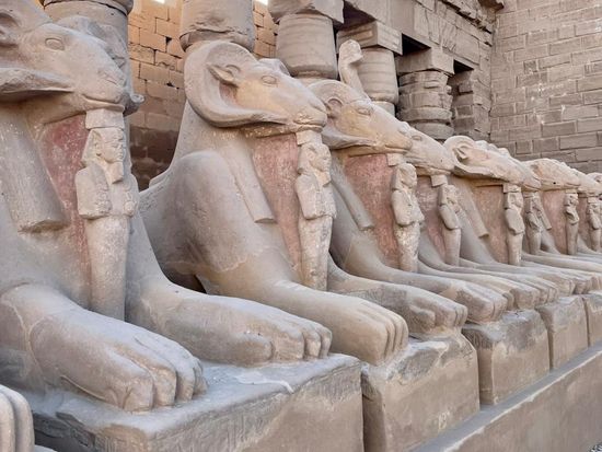 WhatsApp Image 2024-06-10 at 9.33.25 AM (1)