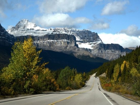 世界遺産カナディアンロッキー　コロンビア大氷原＆ボウ湖＆ペイトー湖 観光ツアー＜5～10月／日本語音声ガイド／英語ドライバー／バンフ発＞