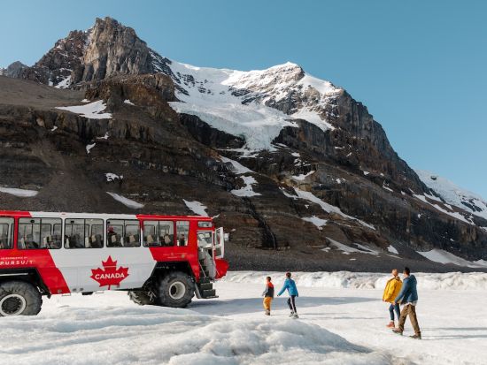 世界遺産カナディアンロッキー　コロンビア大氷原＆ボウ湖＆ペイトー湖 観光ツアー＜5～10月／日本語音声ガイド／英語ドライバー／バンフ発＞