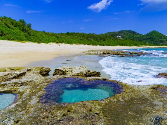 【北部送迎可】奄美大島 島内観光フリープラン半日プライベートツアー 奄美群島認定エコツアーガイド照井さんがご案内 by EVERGREEN奄美