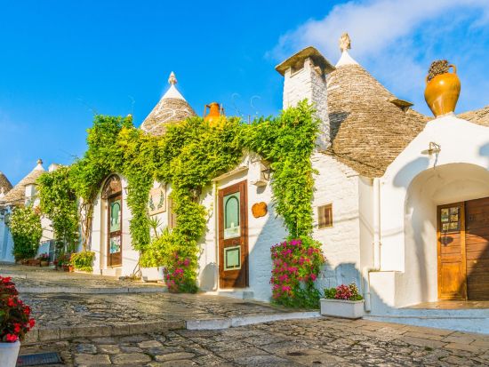 【プライベートツアー】ナポリから行く！アルベロベッロ1日観光＜車貸切／日本語ガイドありorなし／ナポリ発＞ by Zenzero