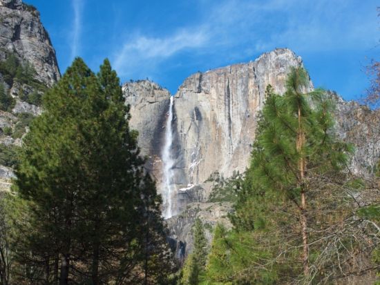 世界遺産ヨセミテ国立公園 日帰りツアー　経験豊富なガイド付き観光と1.5時間の自由散策で氷河が創り出した絶景を満喫 ＜昼食付き／日本語ガイド＞