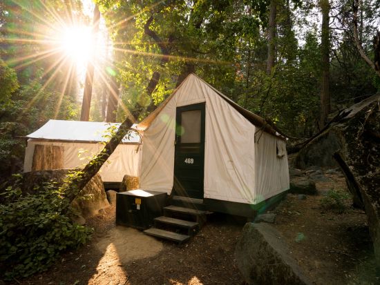 【カリービレッジ宿泊】世界遺産ヨセミテ国立公園1泊2日ツアー　アウトドア派におすすめなテント型キャビンで大自然を満喫！＜4～9月限定／日本語ガイド＞
