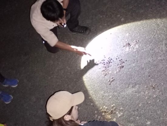 9822E41F-82BE-4C67-92B6-9BB210E6BA6D_1_105_c