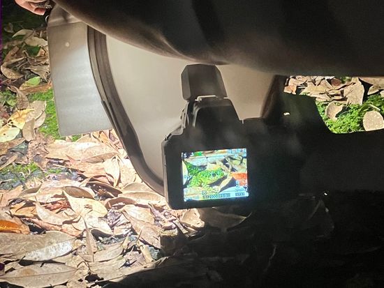 B824FE46-5068-4D15-AD26-4F327222C851_1_105_c