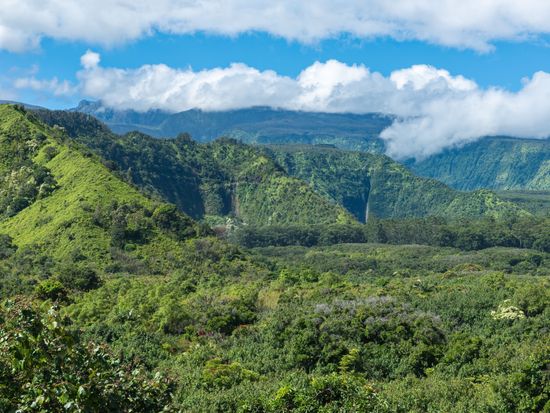 Wailua_Lookout_Shutterstock_2249339775